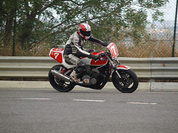 P5310465.jpg