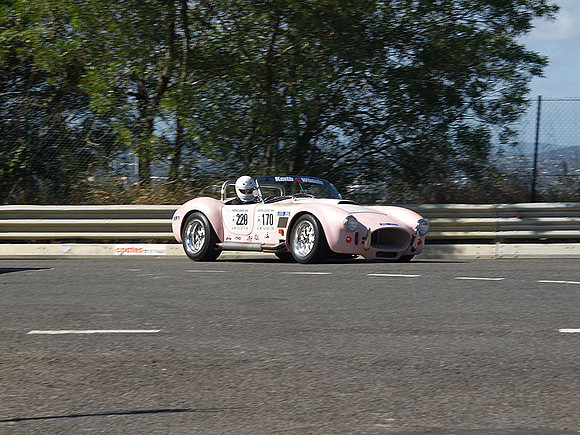 P5310203.jpg