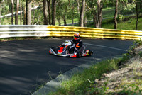 Open wheeler and karts