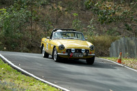 Open top sports, convertible, targa