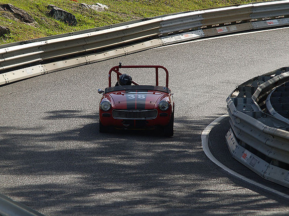 P5319836.jpg