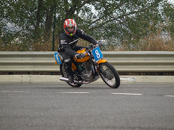 P5310455.jpg