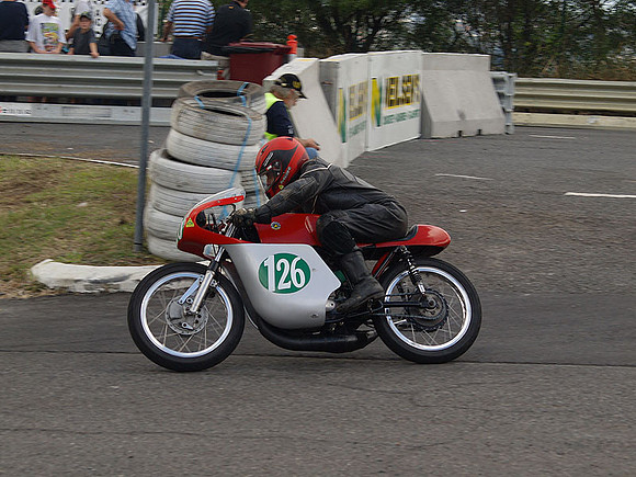 P5310454.jpg