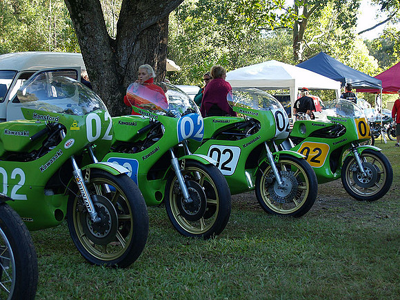 P5319768.jpg