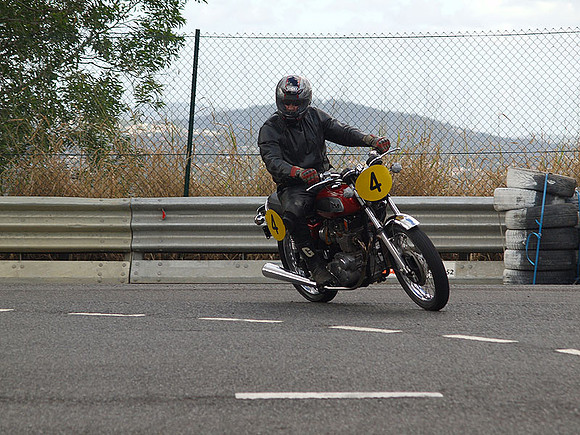 P5310459.jpg