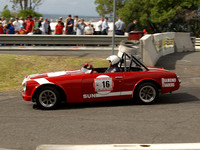 P5310531.jpg