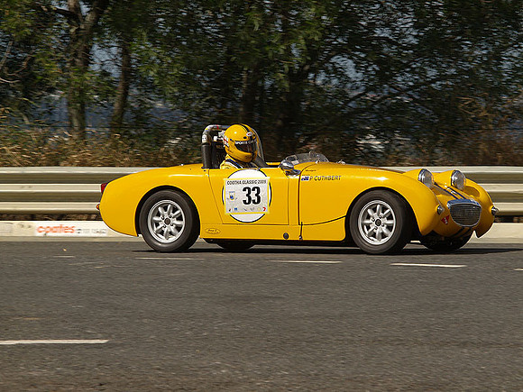 P5310579.jpg