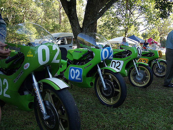 P5319761.jpg