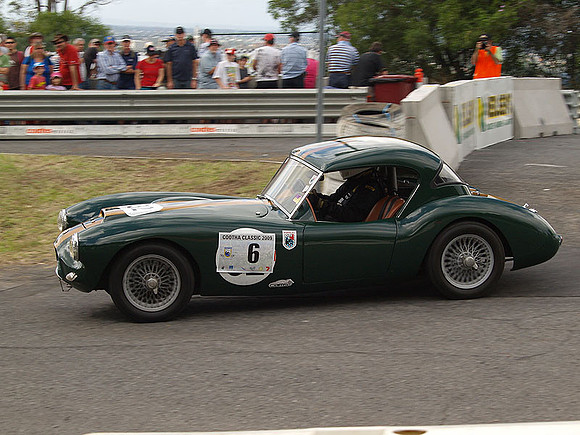 P5310500.jpg