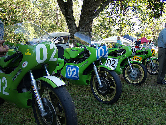 P5319762.jpg
