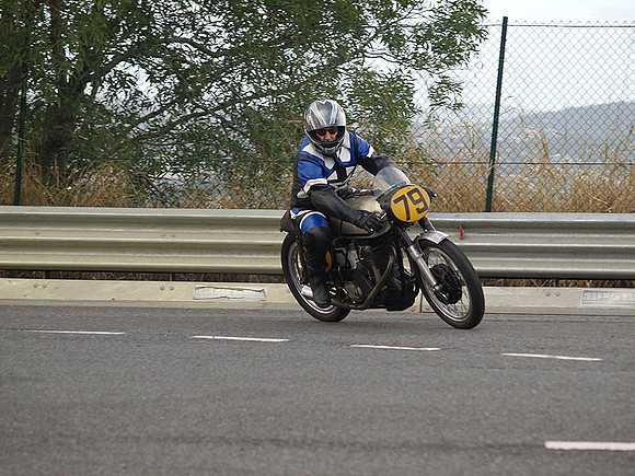 P5310437.jpg