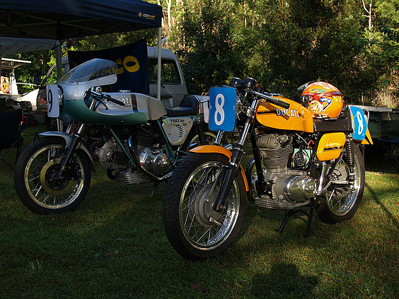 P5319758.jpg