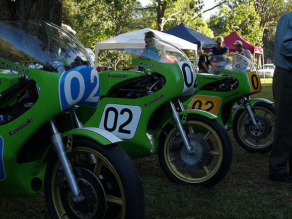 P5319760.jpg