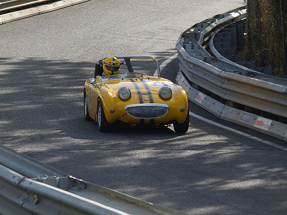 P5319805.jpg