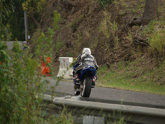 P5310464.jpg