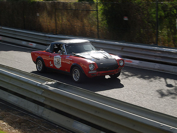 P5319819.jpg