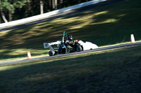 DSC01541.ON1