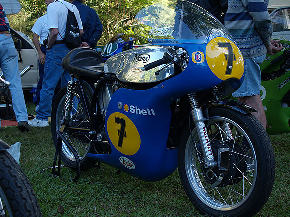 P5319767.jpg