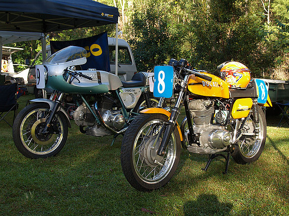 P5319759.jpg