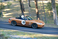 DSC01365.ON1