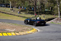 DSC03954