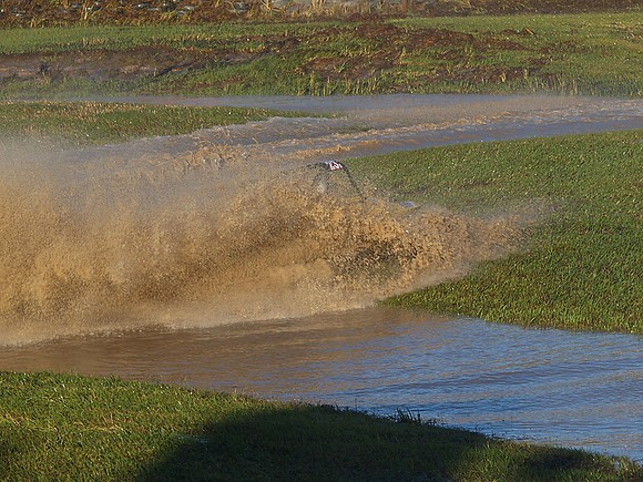 P6073232copy.JPG