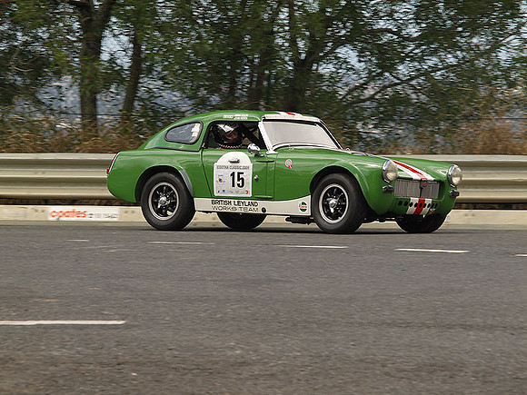 P5310525.jpg