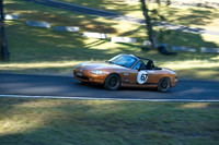 DSC01371.ON1